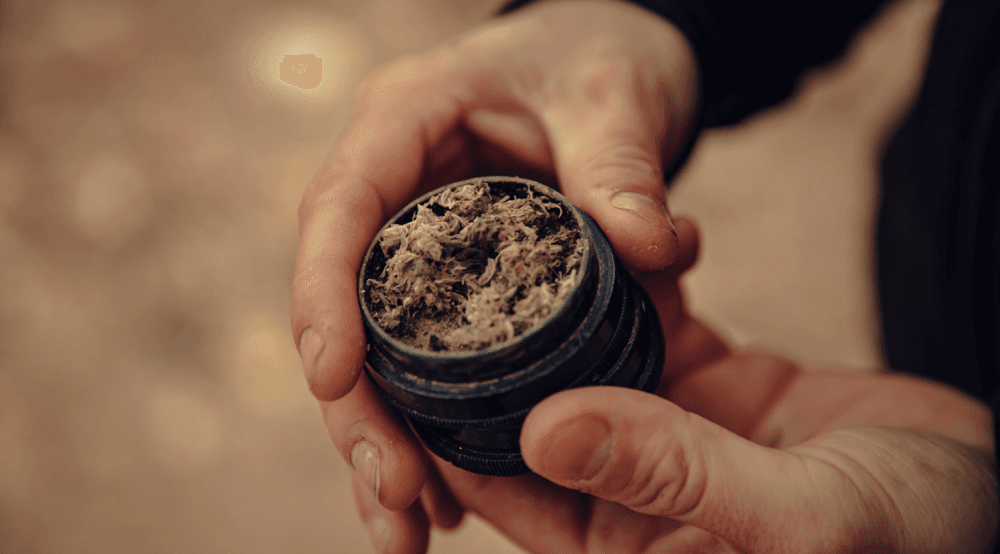 monday-deal-green4all