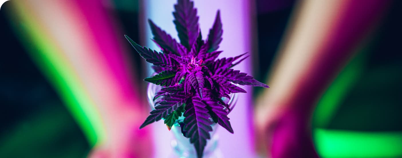 about-us-brockton-green4all